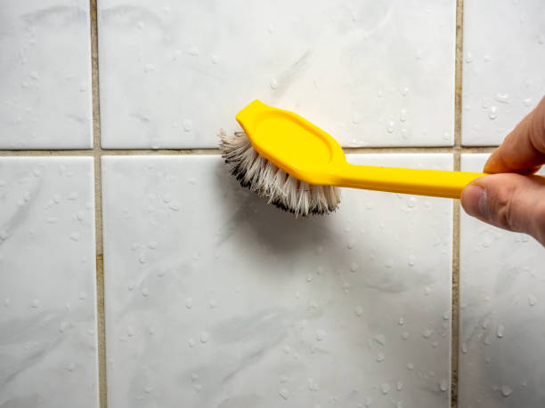 Best Mold Remediation  in Penns Grove, NJ