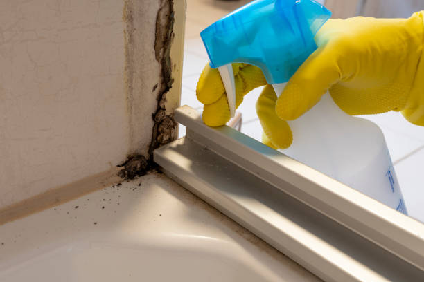 Best Residential Mold Removal  in Penns Grove, NJ