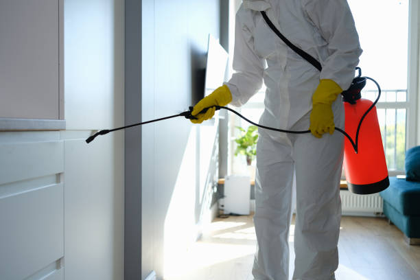Trusted Penns Grove, NJ Mold Removal Experts