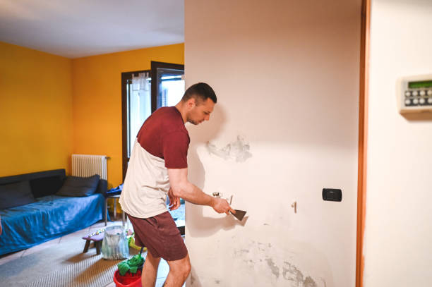 Best Commercial Mold Removal  in Penns Grove, NJ