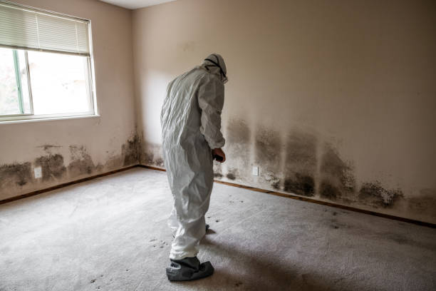 Best Residential Mold Removal  in Penns Grove, NJ